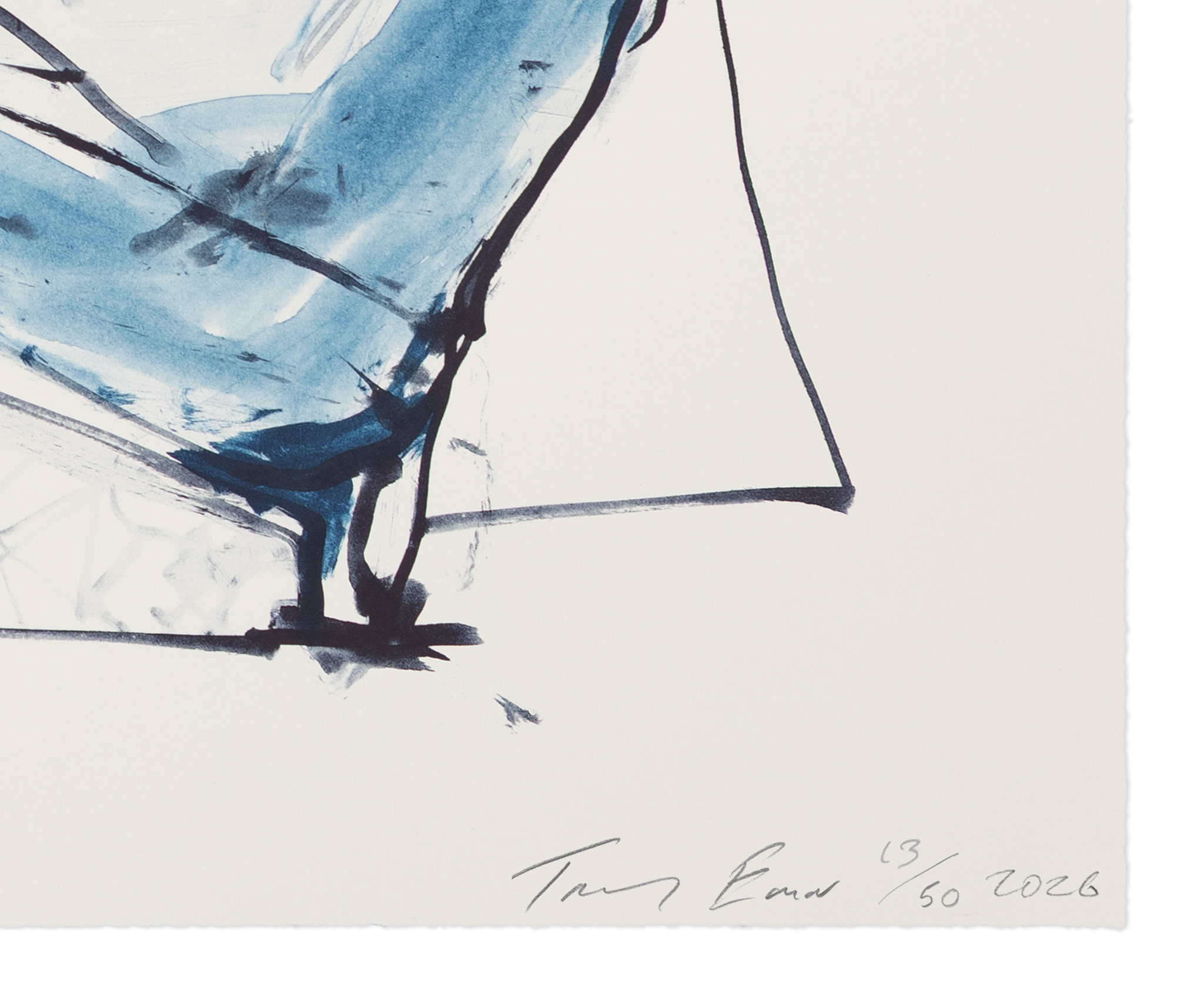 Tracey Emin, <i>Alive in The Cave</i> (2026), Detail