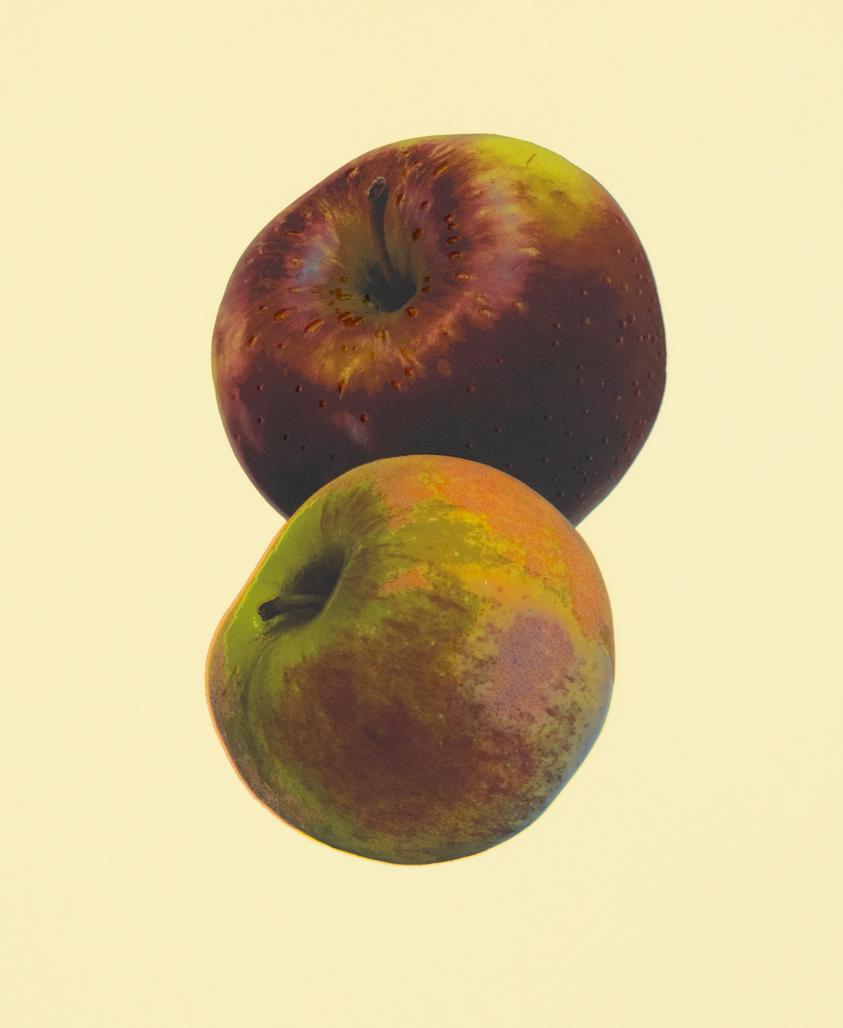 Anya Gallaccio, <i>Waxing Star </i>(2026), Detail