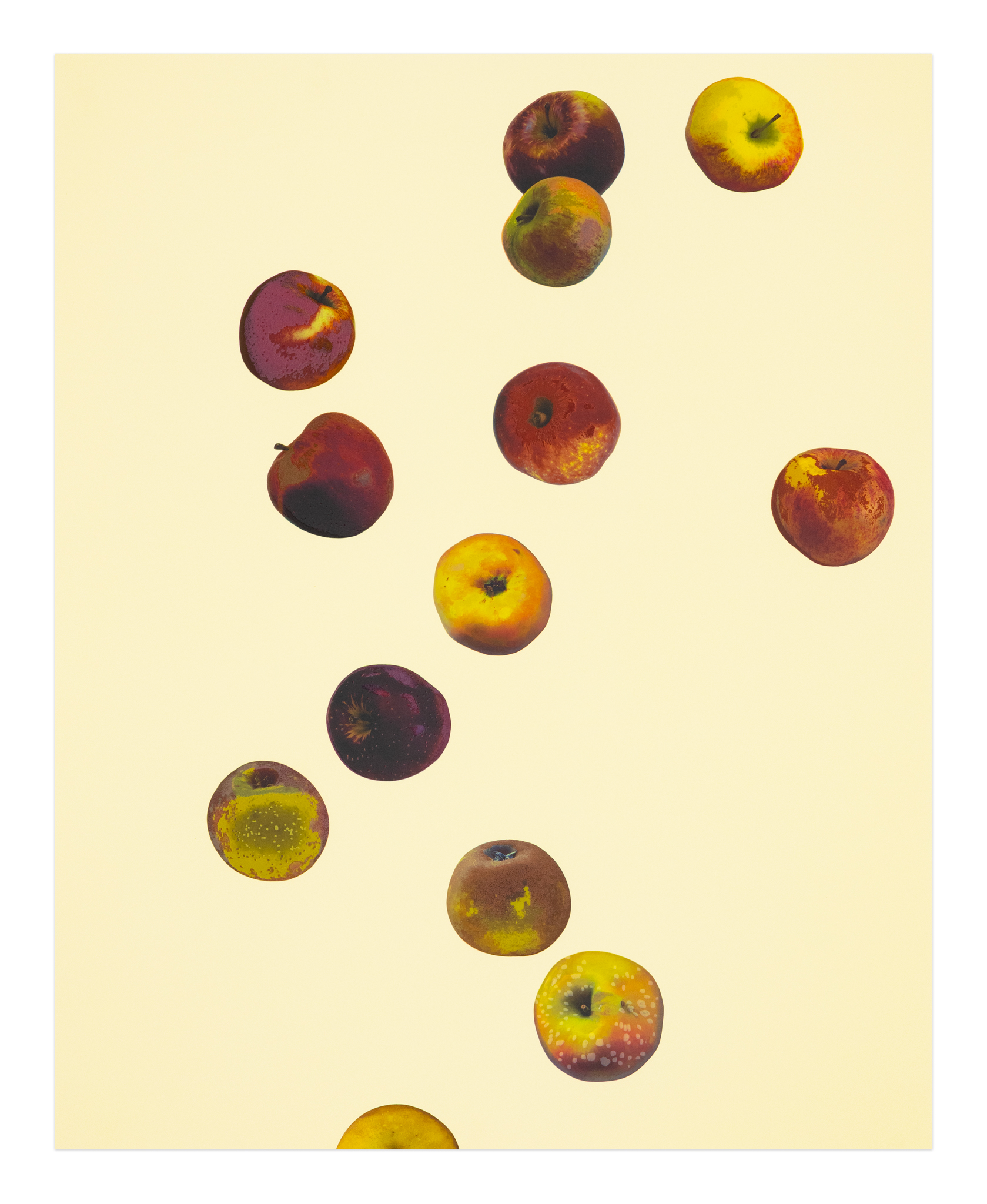 Anya Gallaccio, <i>Waxing Star </i>(2026)