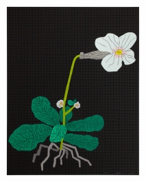 w.o.d.　F.L.O.W.E.R.S. jonas-wood-2024_web.jpg