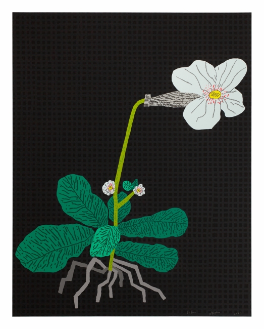 White Flower with Grid (2024)
