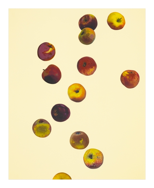 Anya Gallaccio, <i>Waxing Star </i>(2026)
