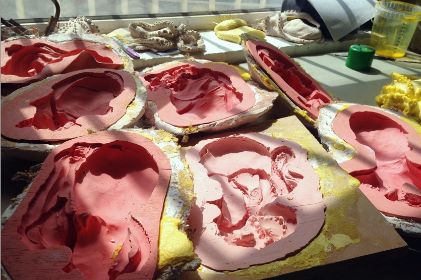 Octopi molds, formed from plaster casts