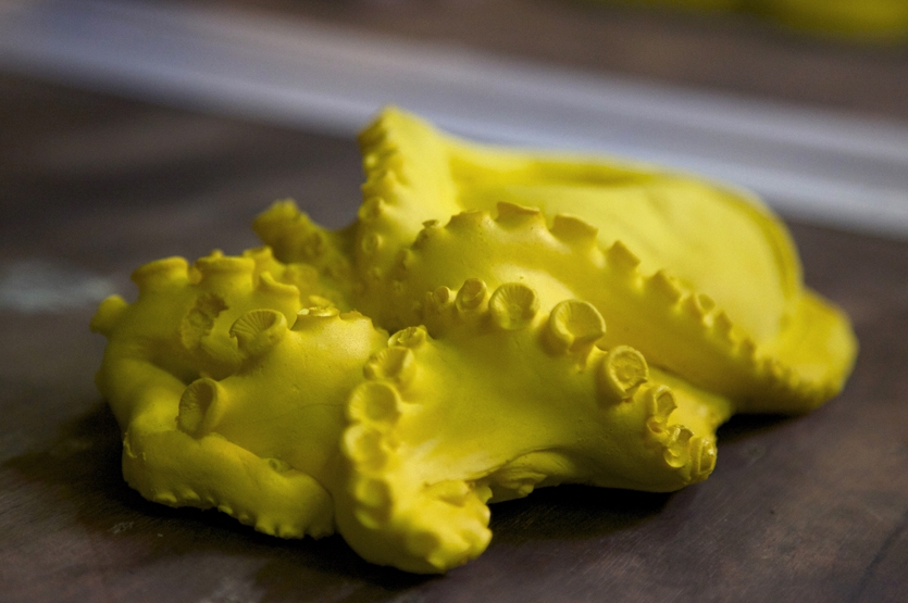 Foam cast in the vacuum forming machine