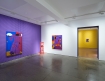 Exhibition image of I, Too at Carl Freedman Gallery (2022)