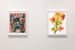 Install image of Greenpeace 50 Years Print Portfolio (2022)