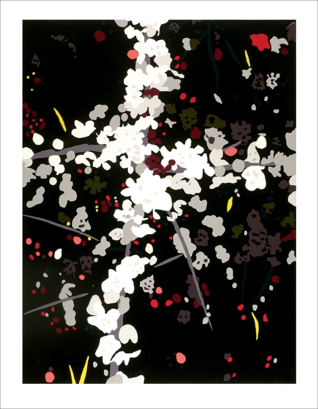 Clare Woods limited edition print 1200U