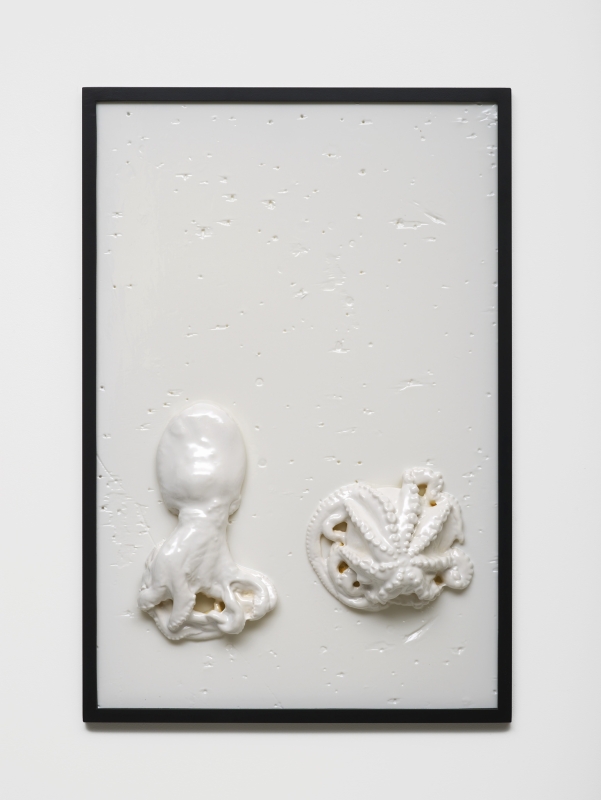 Bubbles Underfoot (2015)