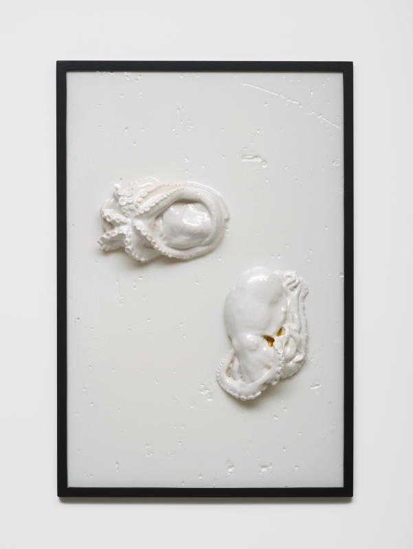 Bubbles Underfoot (2015)