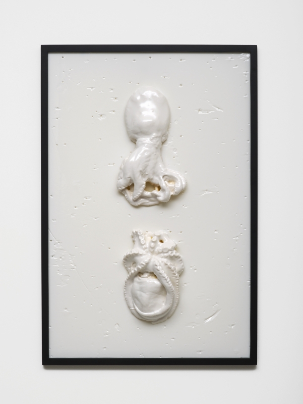 Bubbles Underfoot (2015)