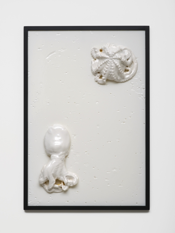 Bubbles Underfoot (2015)