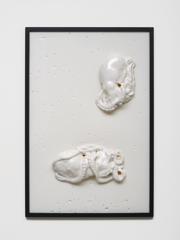 Bubbles Underfoot (2015)