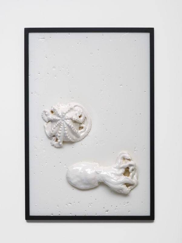Bubbles Underfoot (2015)