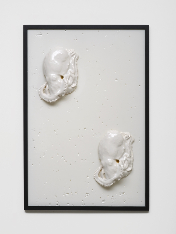 Bubbles Underfoot (2015)
