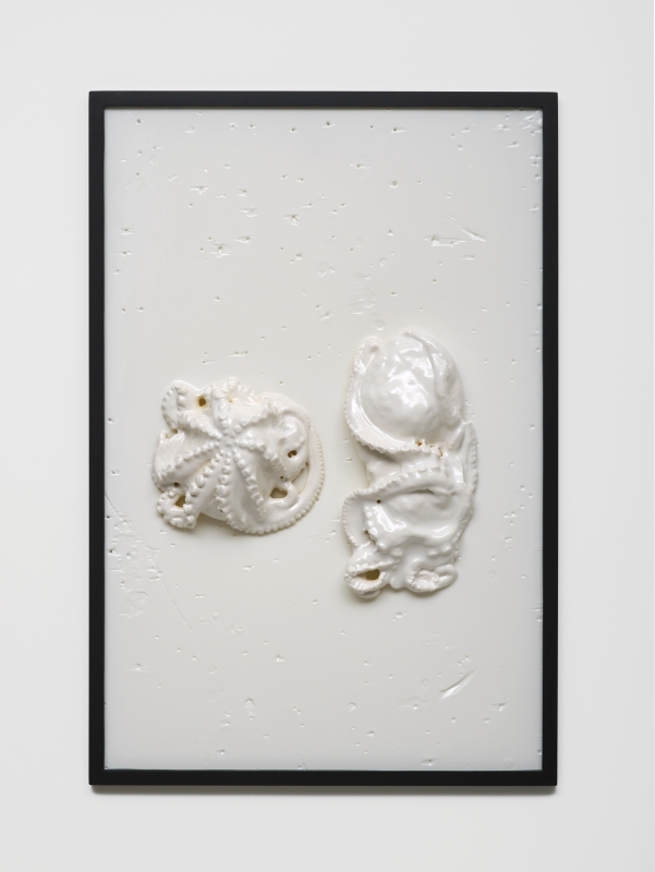 Bubbles Underfoot (2015)