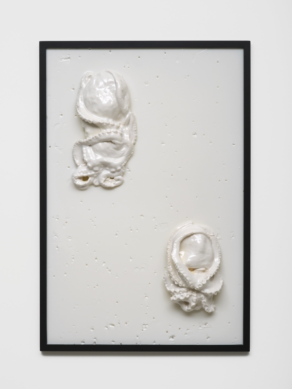 Bubbles Underfoot (2015)