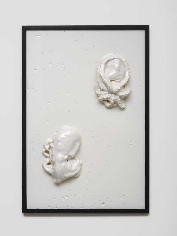 Bubbles Underfoot (2015)