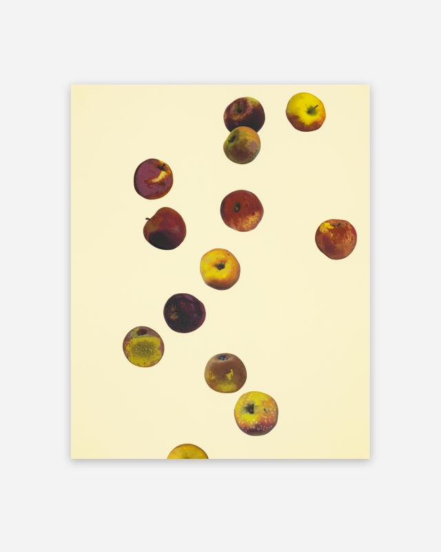 Anya Gallaccio, Waxing Star (2026)