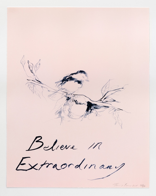 Believe In Extraordinary (2015)