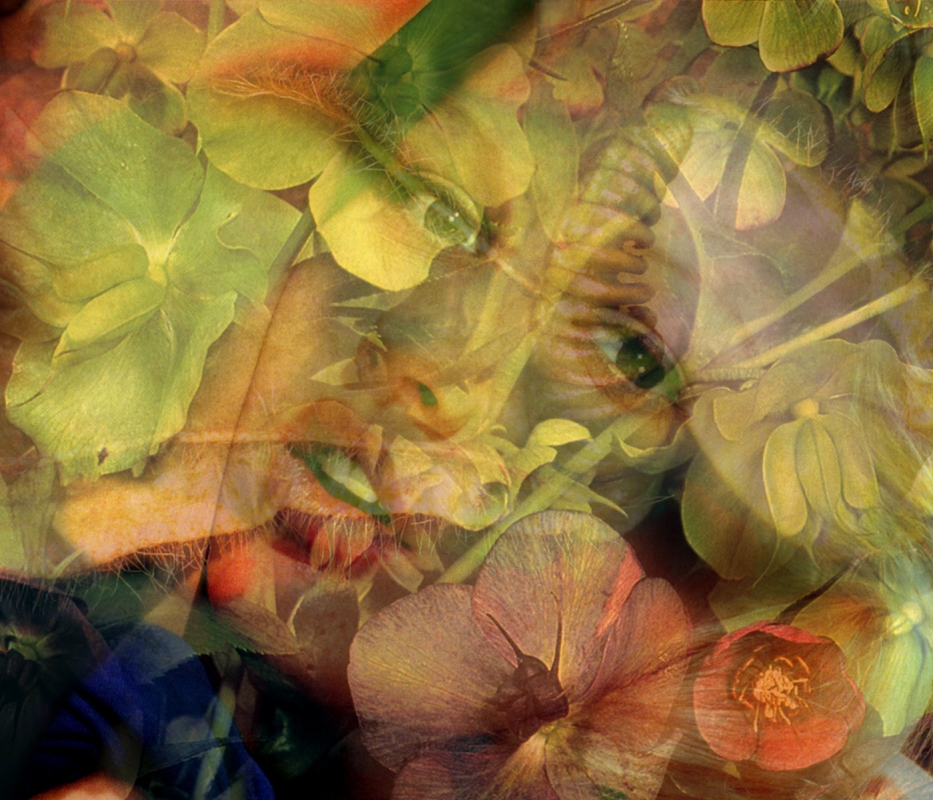 Mat Collishaw limited edition print 1001U