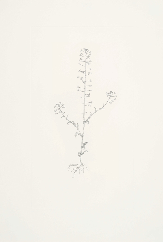 Michael Landy limited edition print 1109U