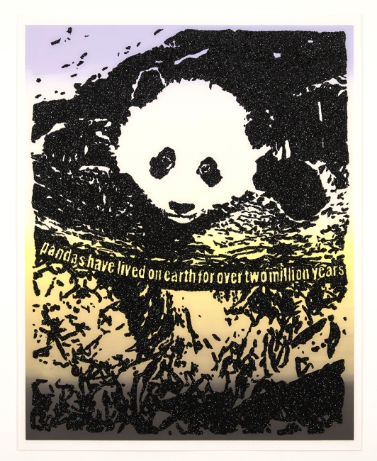 Giant Pandas Spend About 12 Hours a Day Eating Up to 15 Kilograms of Bamboo. Bamboo is Rich in Protein as Well as Fibre, Which is Why They Poop Up to 50 Times a Day! Sometimes They Eat and Poop at the Same Time. (2019)