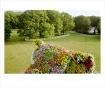Juergen Teller limited edition print 1121U