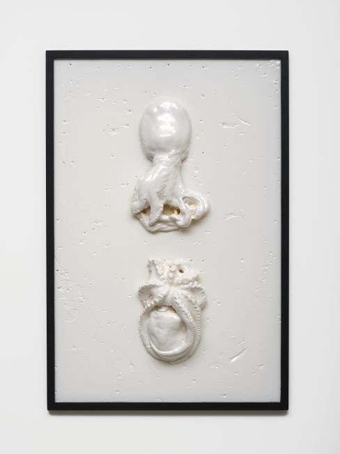 Bubbles Underfoot (2015)