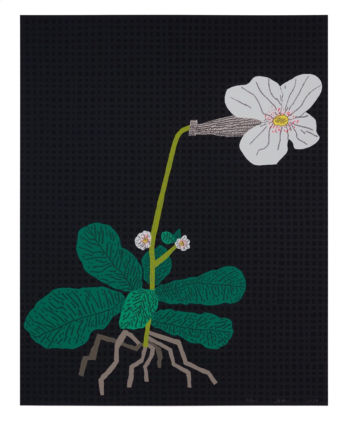 White Flower with Grid (2024)