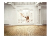 Sam Taylor-Johnson, 'Self Portrait Suspended', 2004