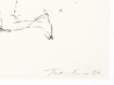 Tracey Emin, <i>Insane Reflection</i> (2006), Detail