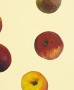 Anya Gallaccio, <i>Waxing Star</i> (2026), Detail