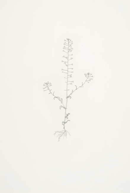 Michael Landy limited edition print 1109U
