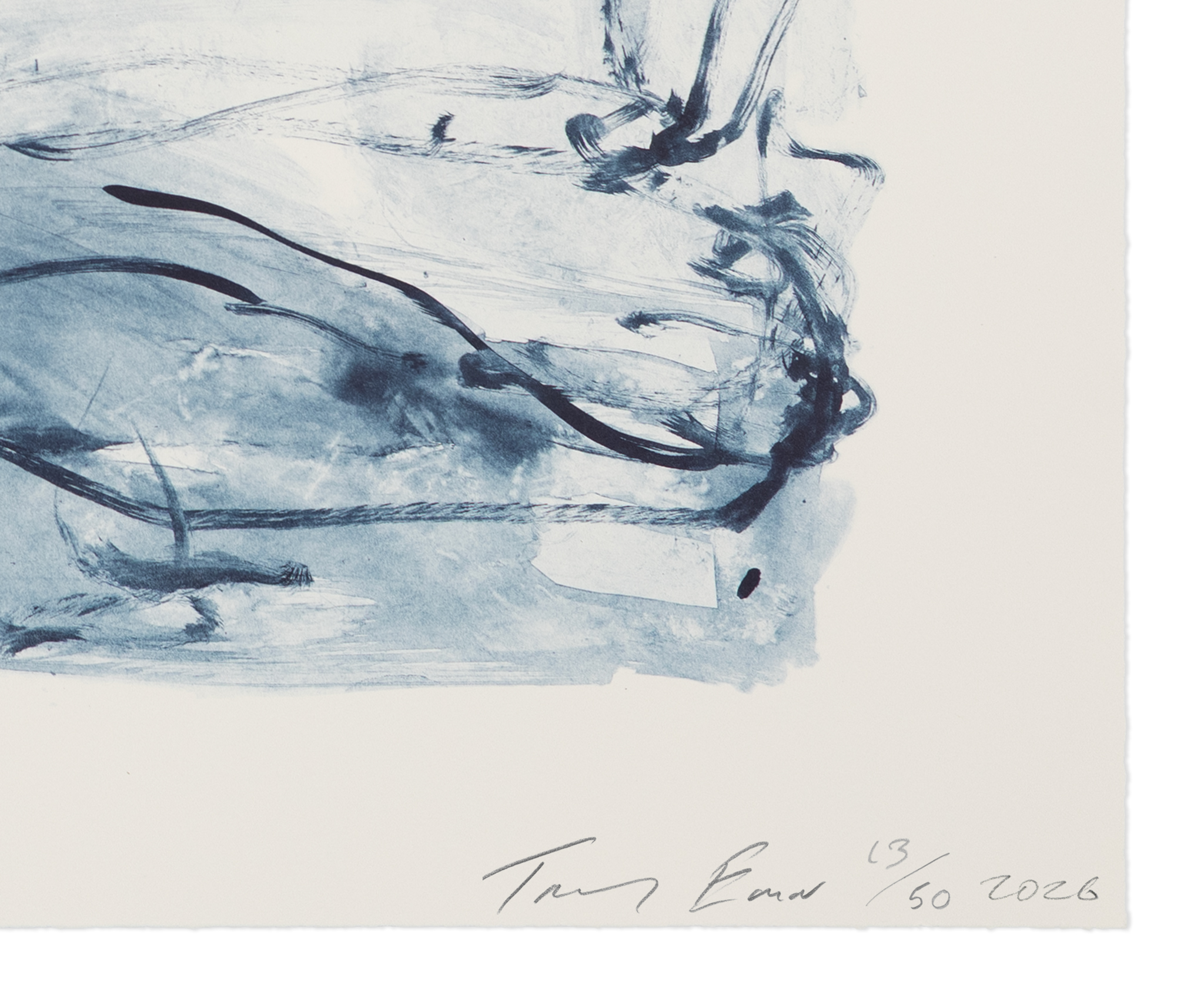 Tracey Emin, <i>I missed Every single Part of you </i>(2026), Detail