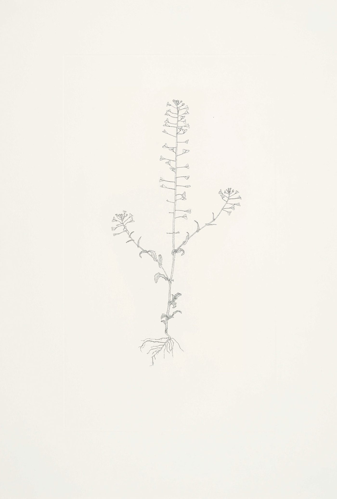 Michael Landy limited edition print 1109U