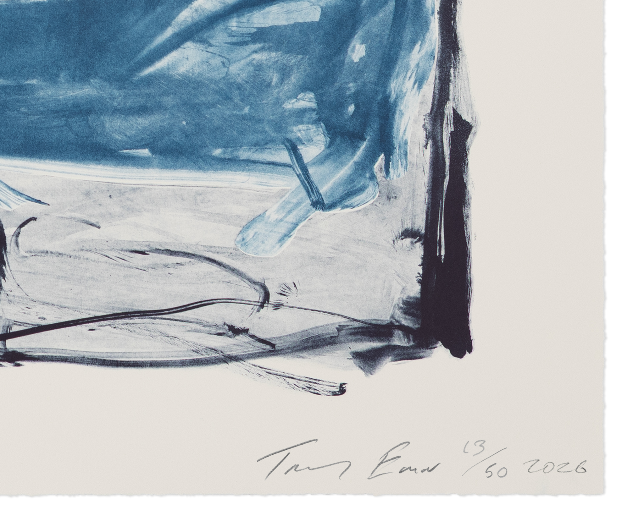 Tracey Emin,<i>You Never made me sad</i> (2026), Detail