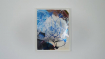 Jeff Koons, Carracci Flower (2021) - Tate Modern 21 Years