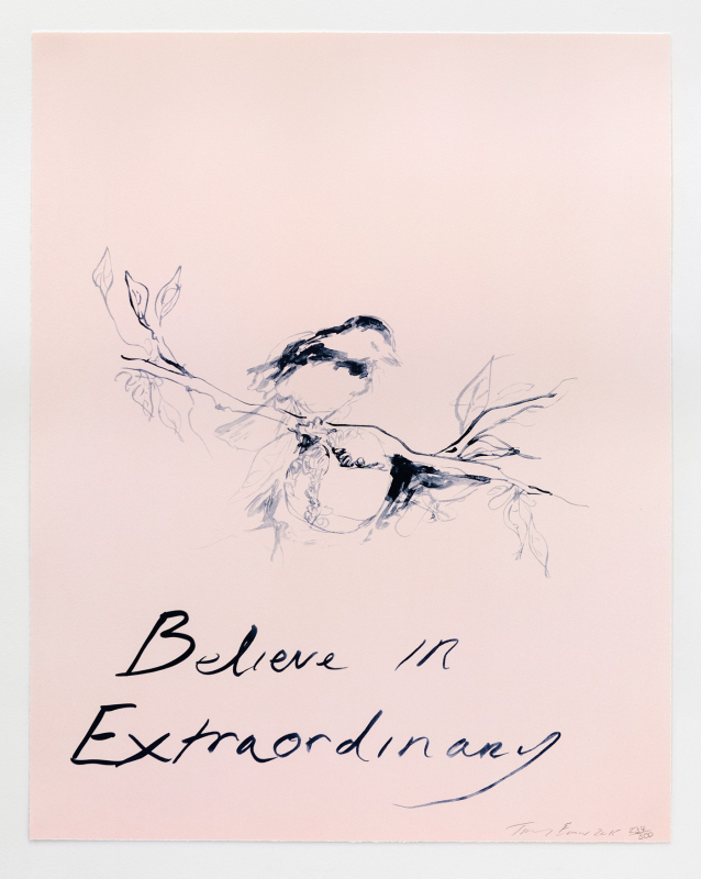 Believe In Extraordinary (2015)